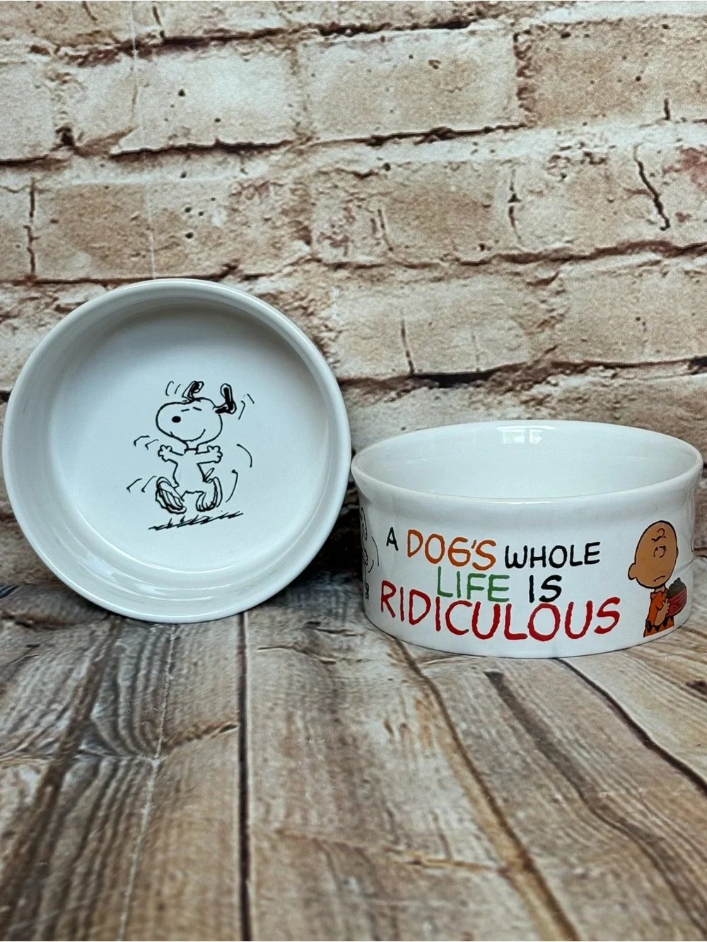 Peanuts Snoopy Charlie Brown Dog Cat Ceramic Pet Food Water Bowls Set 4.5